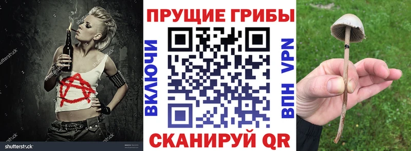 Галлюциногенные грибы MAGIC MUSHROOMS  маркетплейс Telegram  Кузнецк 