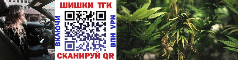 Бошки Шишки White Widow даркнет наркотические препараты Кузнецк где купить наркоту
